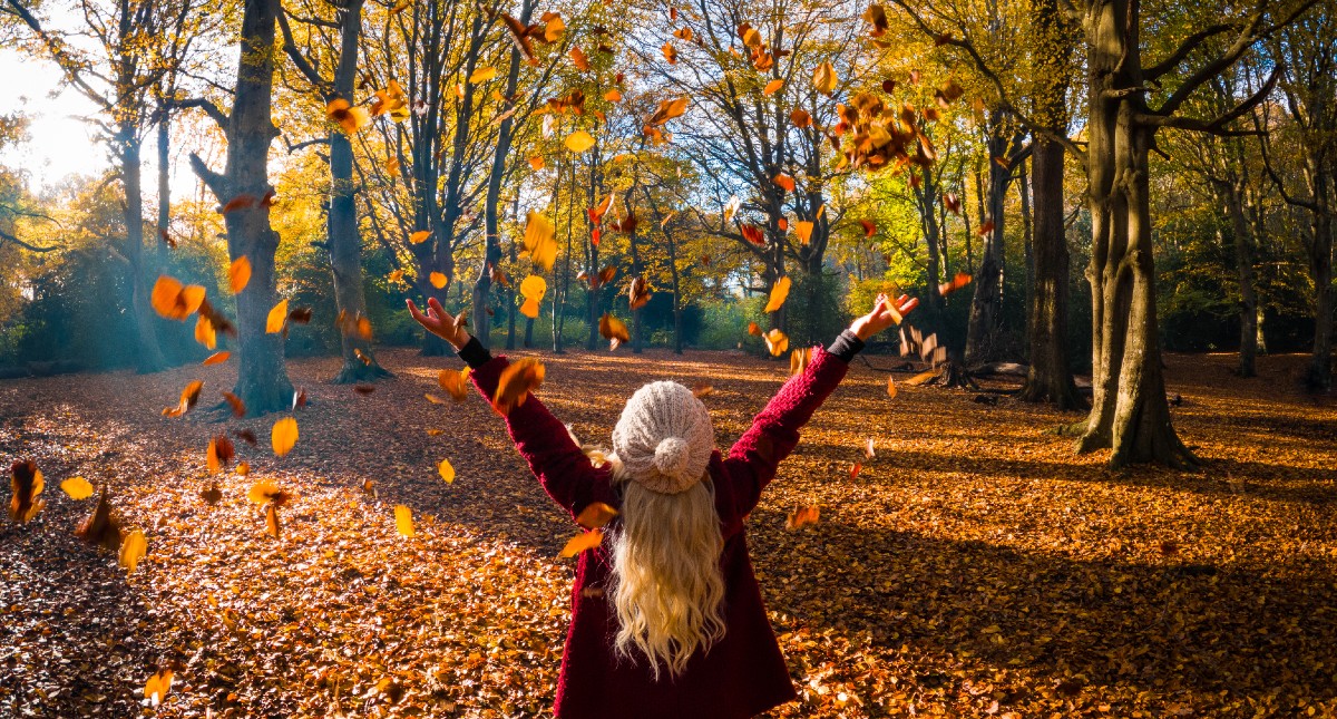 Autumn on the Isle of Wight, UK